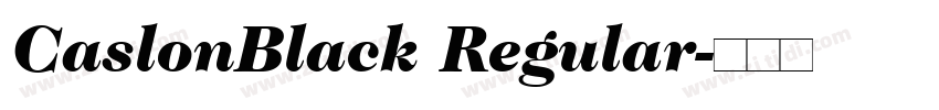CaslonBlack Regular字体转换